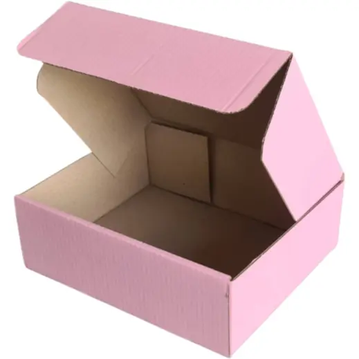 Colour Shipper Box Pink Medium